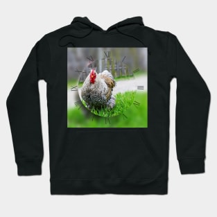 Cochin chicken on green grass looking at camera Hoodie